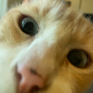 Meet your Posher, Zoe